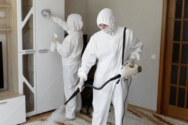 24/7 Emergency Odor Removal experts in Spring City, UT