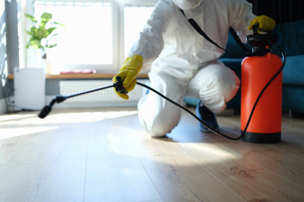 Reliable Odor Removal contractor in Spring City, UT by Trauma Clean Pros